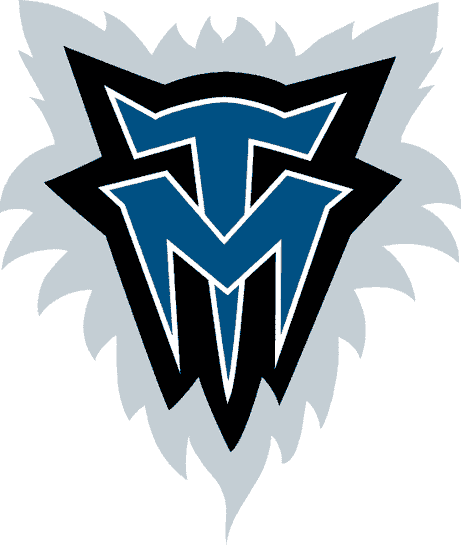Minnesota Timberwolves 1996-2008 Alternate Logo iron on transfers for fabric version 2